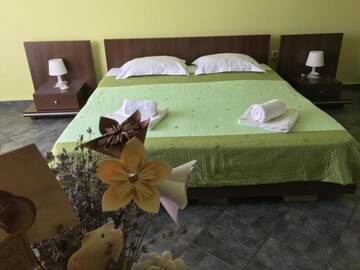 Фото номера Двухместный номер Делюкс с 1 кроватью Гостевой дом Vila Casa Esy г. Эфорие-Норд 8