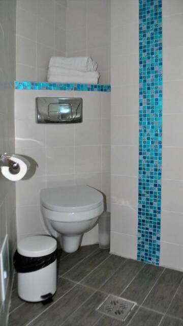 Фото номера Двухместный номер с 1 кроватью Гостевой дом Vila Ryanna Beach г. Эфорие-Норд 21