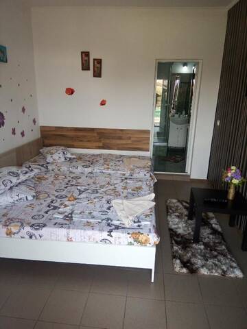 Фото номера Трехместный номер Гостевой дом Casa Alecsandru г. Эфорие-Норд 3