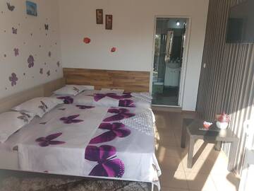 Фото номера Трехместный номер Гостевой дом Casa Alecsandru г. Эфорие-Норд 4