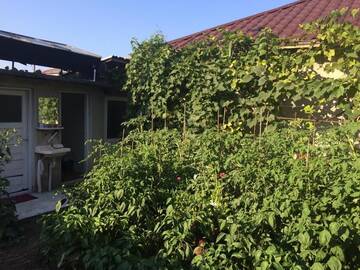 Фото номера Дом с 1 спальней Дома для отпуска Casa Luci г. Эфорие-Норд 11